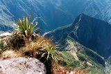 MP seen from Machu Picchu Mountain