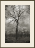 A blustry, chilly, dark Autumn day.