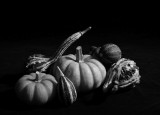 Gourds