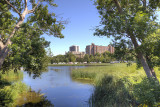 View From the Bridge