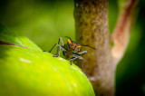 20100725-_DSC4080.jpg