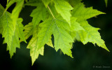20120707_DSC4326.jpg