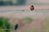 20120705_DSC6617.jpg