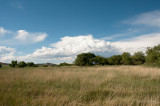 20120717_DSC4528.jpg