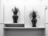 20120811IMG_3772.jpg