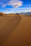 Ibex Dunes 032411-11-Edit.jpg