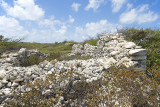 DSC_8842.jpg