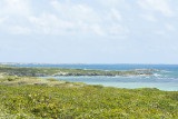 DSC_8856.jpg
