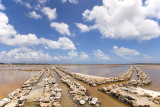 DSC_8916.jpg