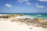 DSC_9125.jpg