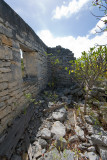 DSC_6064.jpg