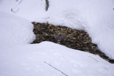 Water going to culvert near where snake was found