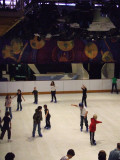 Ice Skating for Everyone