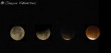 Dec 2011 Lunar Eclipse