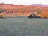 Looking East