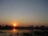 Okavango Delta Sun