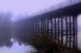 Winter at Blackwood Rriver.JPG
