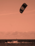 DSC_0049.jpg