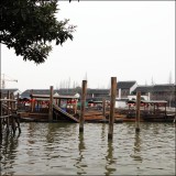 ZhuJiaJiao