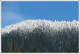 Frosty Ridgeline