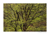 Ariege - Couserans