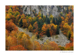 Ariege - couserans