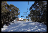 View Up Snowgums