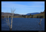 Mitta Mitta River #1