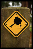 Tree Sign