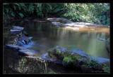 Above The Lower Falls Mid Summer