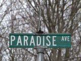 Paradise Avenue Sign