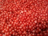 IMG062.jpg