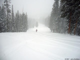 Brighton Powder