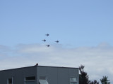 Blue Angels Buzzing Madrona