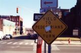 Yield To Pedestrians On Turn (Holyoke, MA)