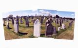 Calvary Cemetery, Queens, New York (2004)