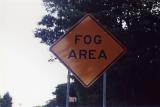 Fog Area (Manor, PA)