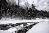 _MG_2843_cs3_lucis.jpg