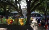 A warm, sunny afternoon opening day under the oaks.