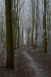 sized_IMG_6186.JPG