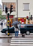 Not-a-summers-day on Sankt Eriksgatan