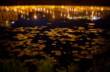 Night view of the canal