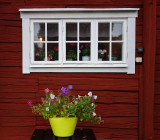 Flowery window