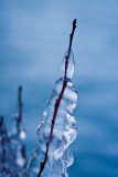 More ice