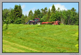 Grass harvesting / Innhsting