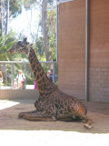 San Diego Zoo 7744.jpg