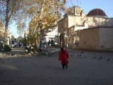 Chasing pigeons across the street from the Ulu Cami, Adana.