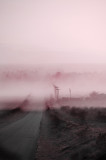Dust Storm In Pink