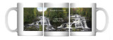 Tyler Forks Cascades