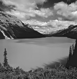 Peyto Lake